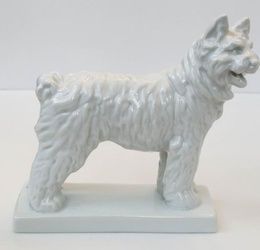 Белая Собака