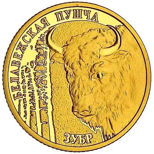 50 рублей 2006, зубр [Беларусь] Proof