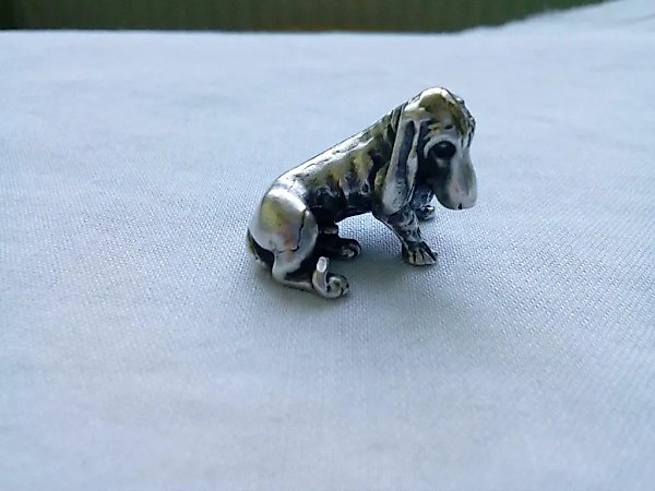 Dog, Basset Hound
