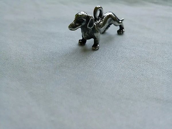 Dog, Dachshund