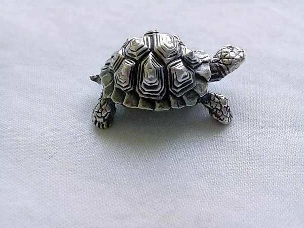 Turtle,