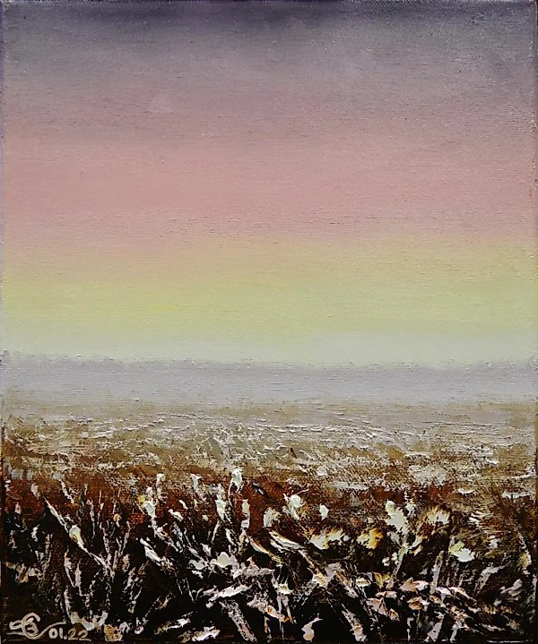 Frost-covered field