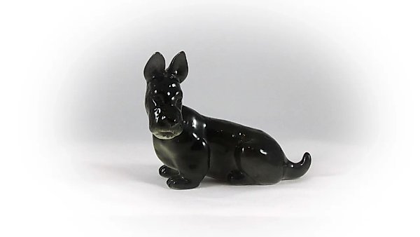 Scottish Terrier