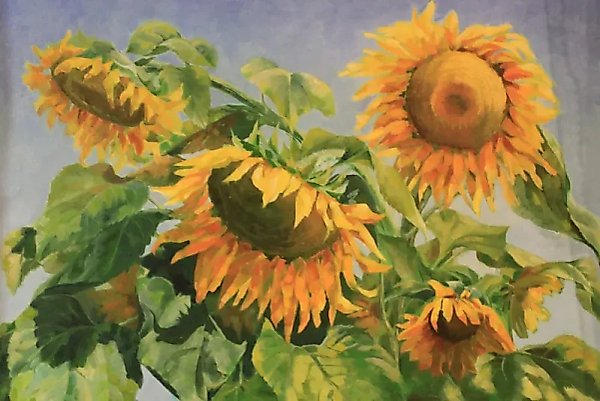 Sunflowers, oil on canvas