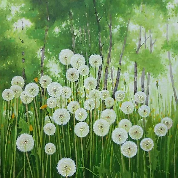 Dandelions, canvas, oil