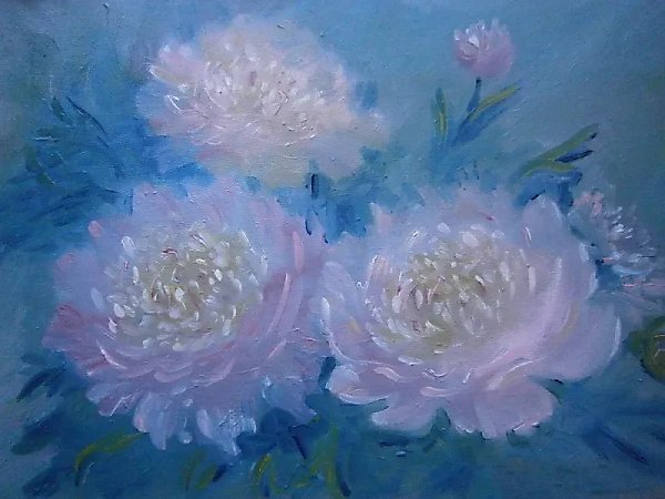 Peonies on a Blue Background Oil on Cardboard
