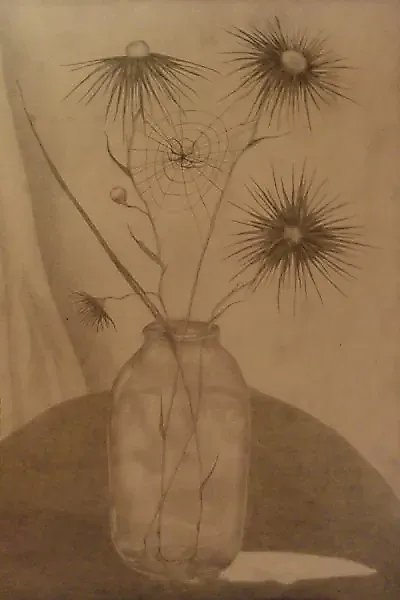 Flowers with cobwebs