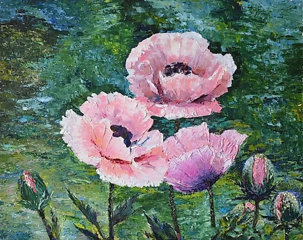 Poppies, oil, canvas