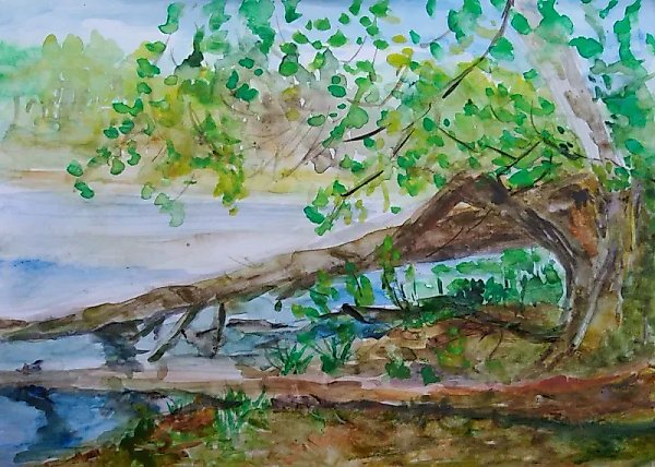 Broken Tree paper, watercolor