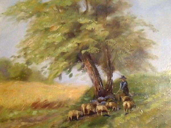 Rural landscape