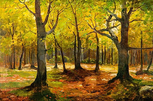 Лесной пейзаж, холст, масло, 1910-1920 гг.