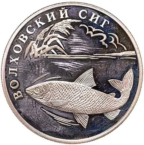 1 рубль 2005, СПМД, сиг Proof — 1