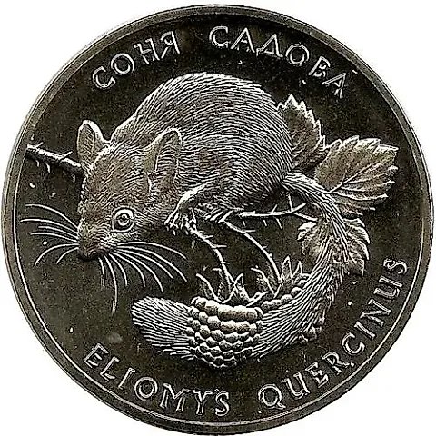 2 гривны 1999, соня садовая [Украина] — 1