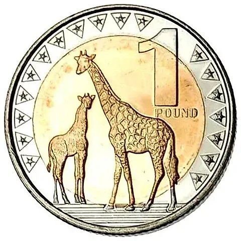1 Pound 2015 [South Sudan] — 2