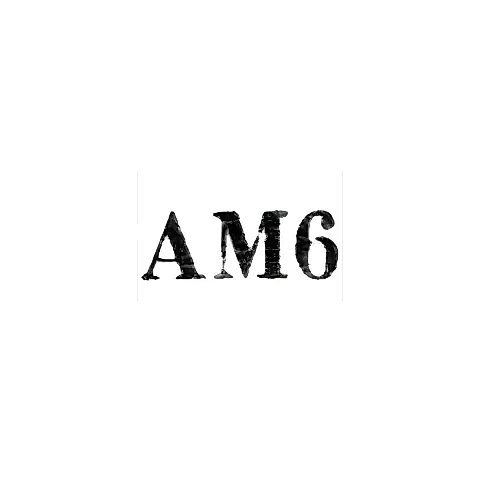 Артель "Мхатвари" - "АМ6" - 1956