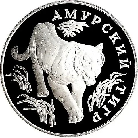 1 Ruble 1993, LMD, Tiger Proof — 1