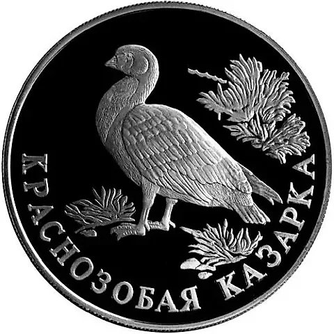 1 Ruble 1994, LMD, Red-breasted Goose Proof — 1