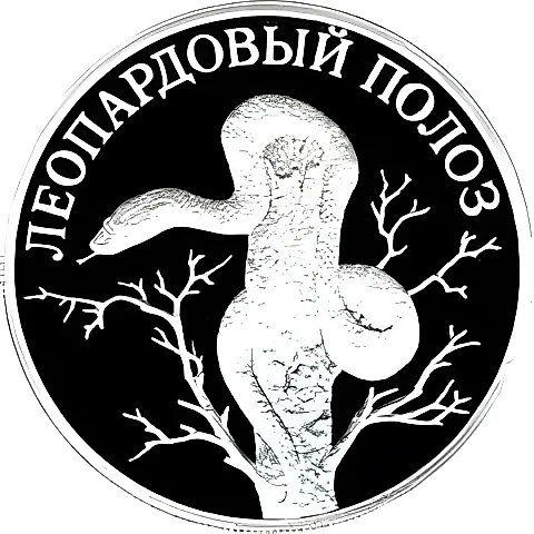 1 рубль 2000, СПМД, полоз Proof — 1