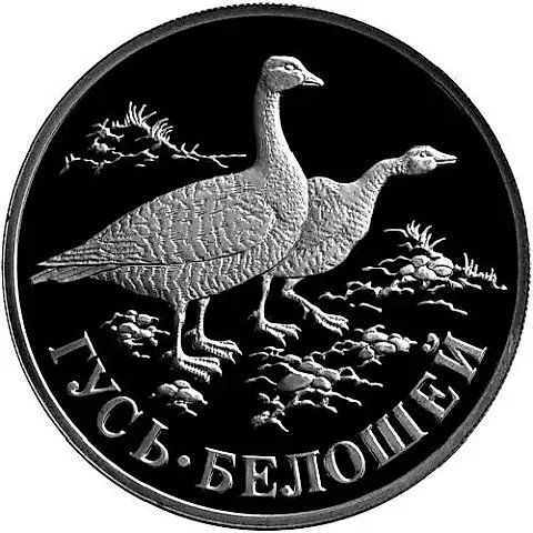 1 рубль 1998, СПМД, гусь Proof — 1