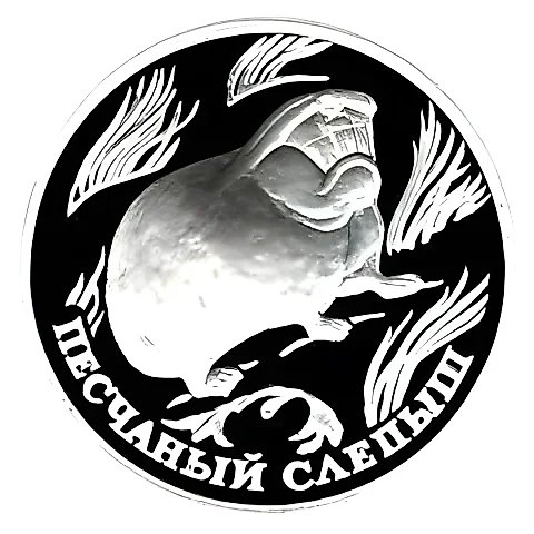 1 рубль 1996, ЛМД, слепыш Proof — 1