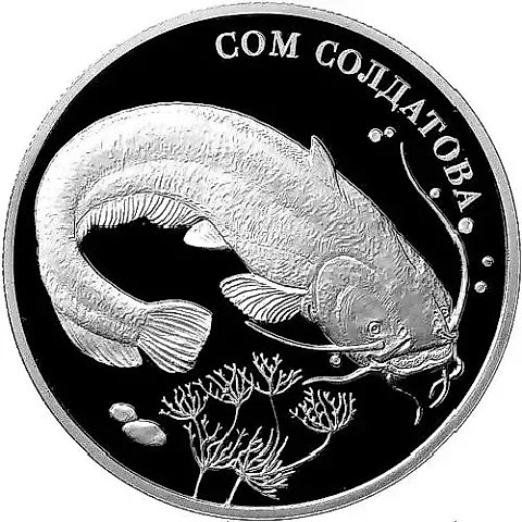2 рубля 2014, ММД, сом Proof — 1