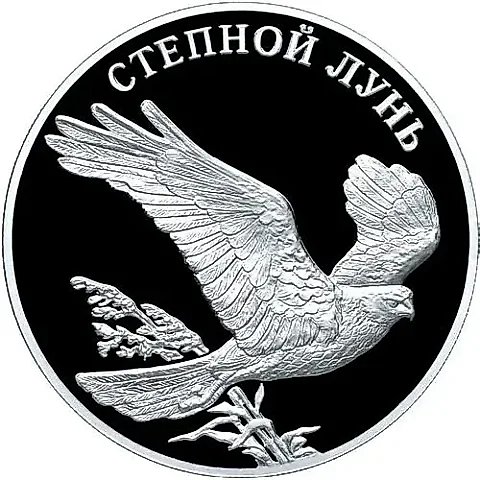 1 рубль 2007, СПМД, лунь Proof — 1