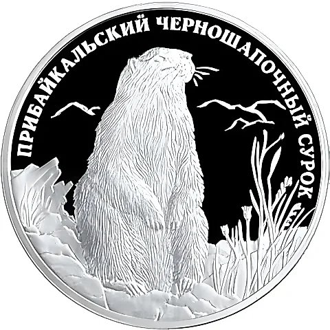 2 рубля 2008, СПМД, сурок Proof — 1