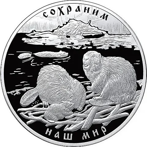100 рублей 2008, СПМД, бобр, Серебро — 1