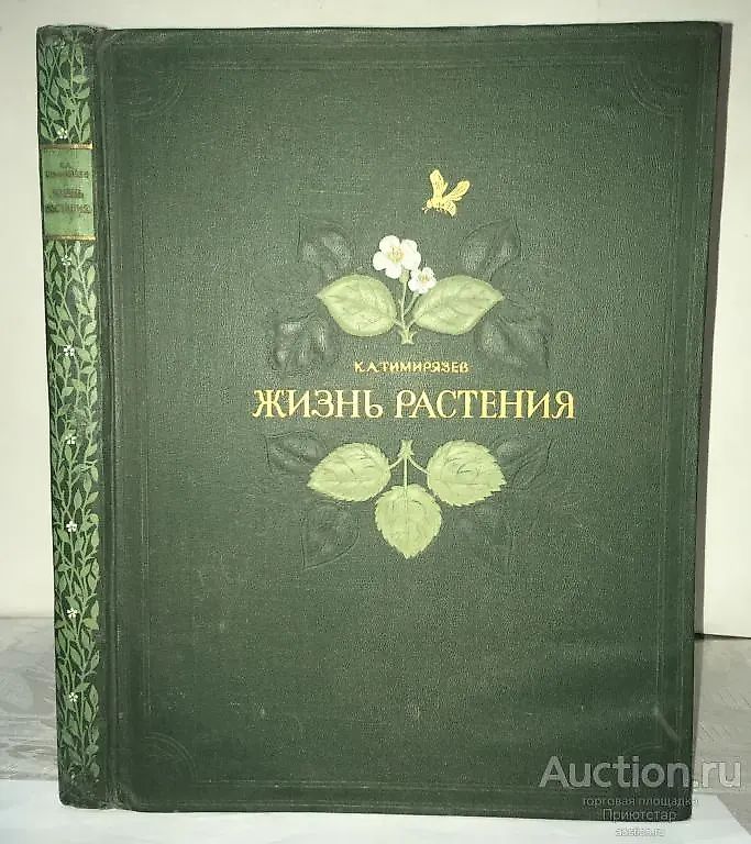 Старая книга