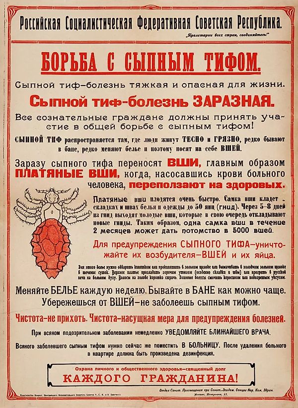 [Чистота — не прихоть!] Санитарно-просветительский плакат «Борьба с сыпным тифом». М.: Издательство Всероссийского Центрального Исполнительного Комитета Советов Р., С., К. и К. Депутатов, [1918-1919].
