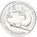 2 гривны 2012, Флора и фауна - Стерлядь пресноводная [Украина]