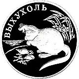 1 рубль 2000, СПМД, выхухоль Proof