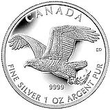 5 долларов 2014, белоголовый орлан [Канада]