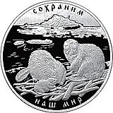 100 рублей 2008, СПМД, бобр, Серебро