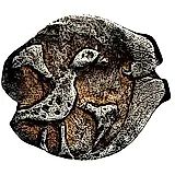 полушка Михаила Федоровича 1613-1645, птица вправо/вязь [Москва]