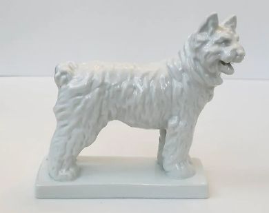 White Dog