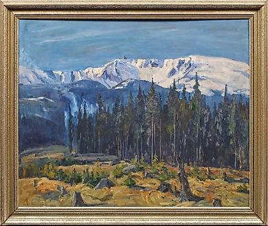 "Вид Заснеженных Лощин"