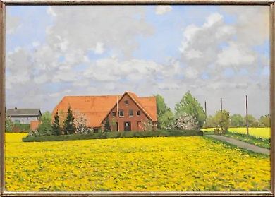 "A field of wild daisies and rapeseed: an original impression of yellow blooming fields"