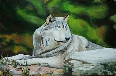 Wolf oil, canvas