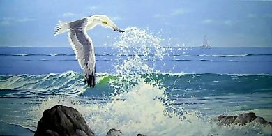 Seagull, canvas, oil