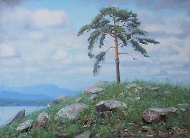 Сосна. холст, масло 