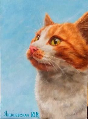 Ginger, oil, canvas on cardboard