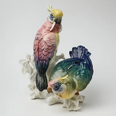 Дуэт попугаев