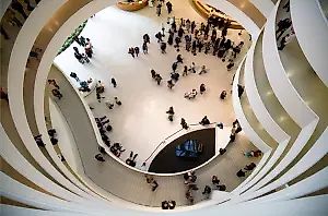 Climate Change Activists Occupy Guggenheim Atrium