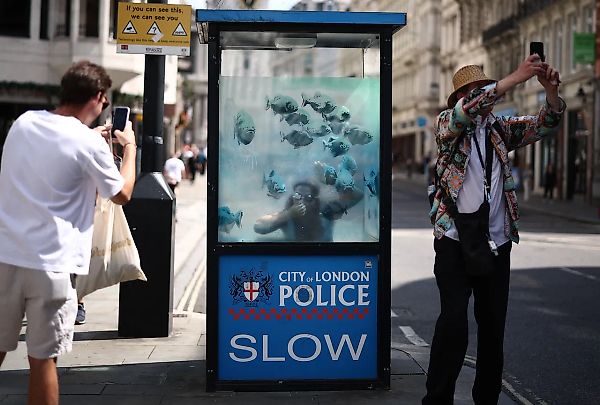 Banksy's Piranha Police Box Has Been Obtained by New London Museum