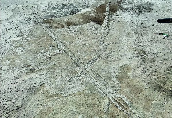 Prehistoric Tracks Suggest New Timeline for Humans Migration