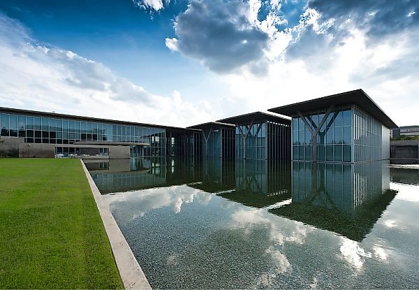 Fort Worth Police Spent $7K Visiting New York for Sally Mann Investigation