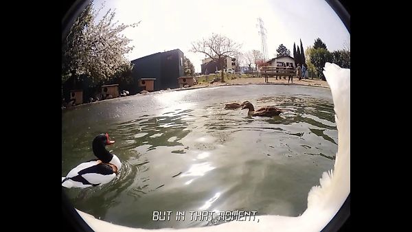 Кризис в Peres Projects: Известная галерея искусства в Берлине под угрозой банкротства