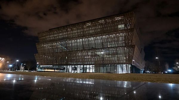 Смитсоновский институт против указов администрации Трампа