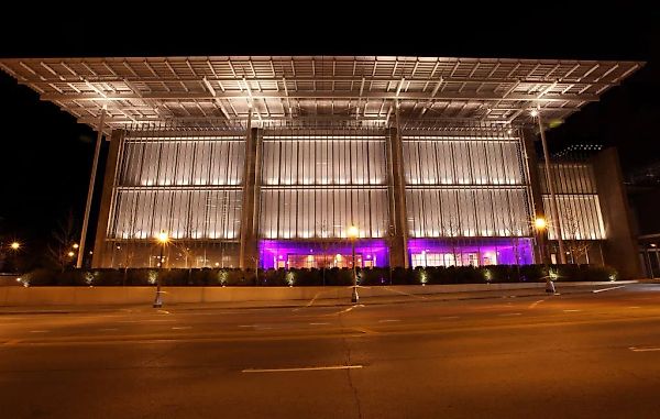 AIC Appeals Return of Egon Schiele as Legal Battle Deepens